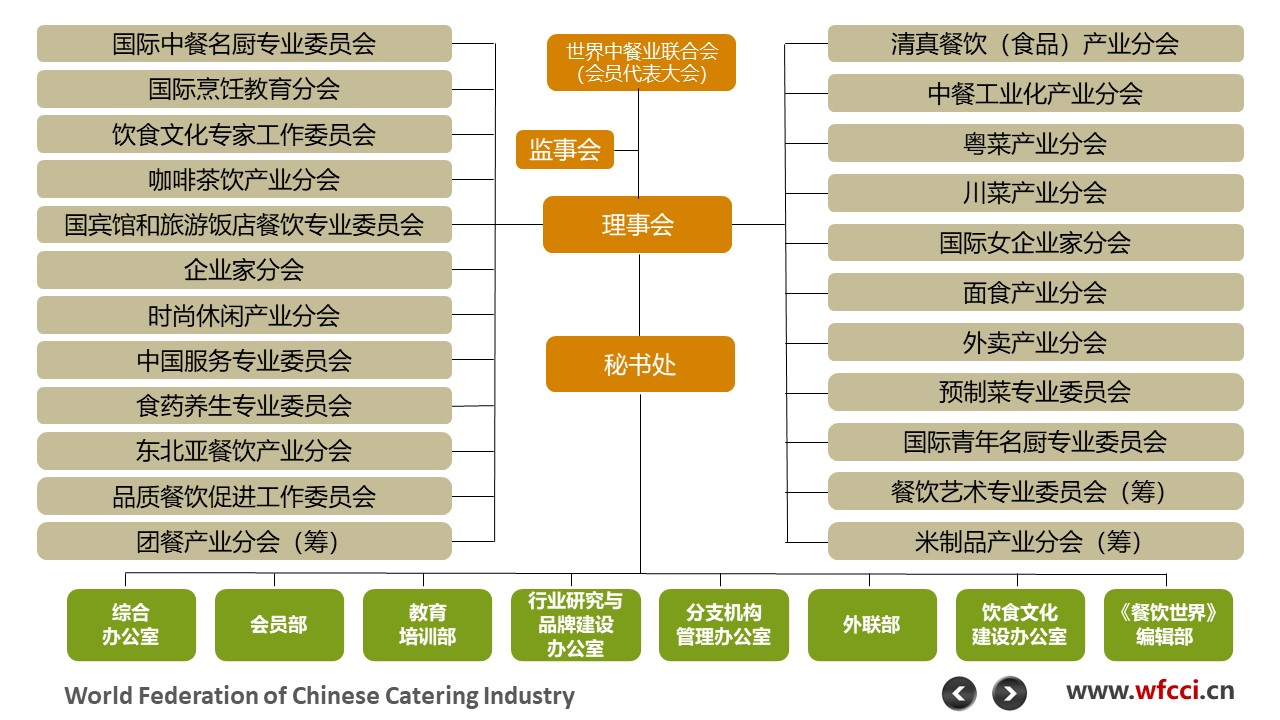 分支机构树形图.jpg