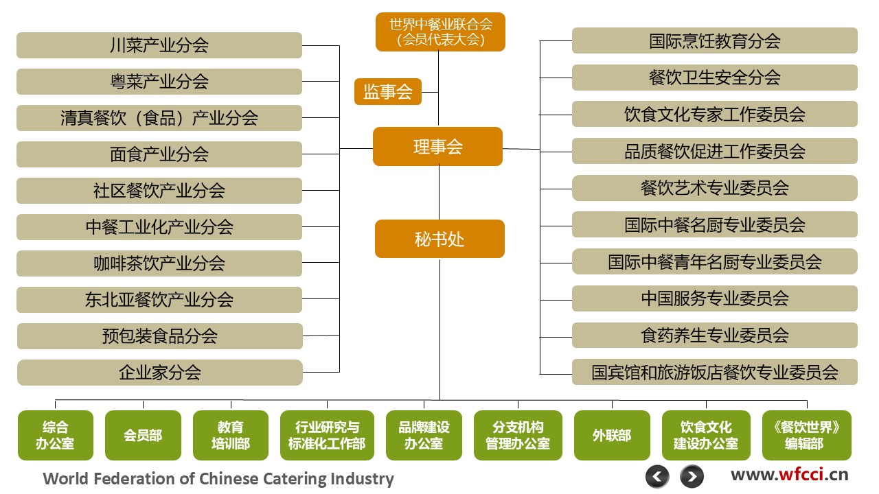 分支机构树形图.jpg